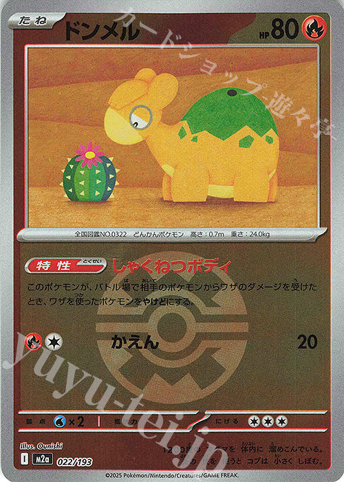 Numel